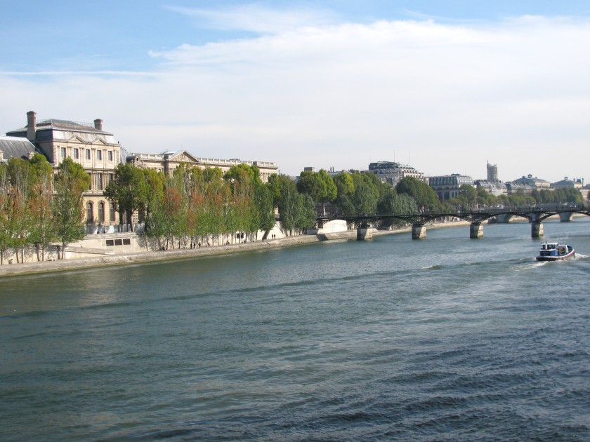 Ile de la Cit&eacute; from the Left Bank of the Seine
