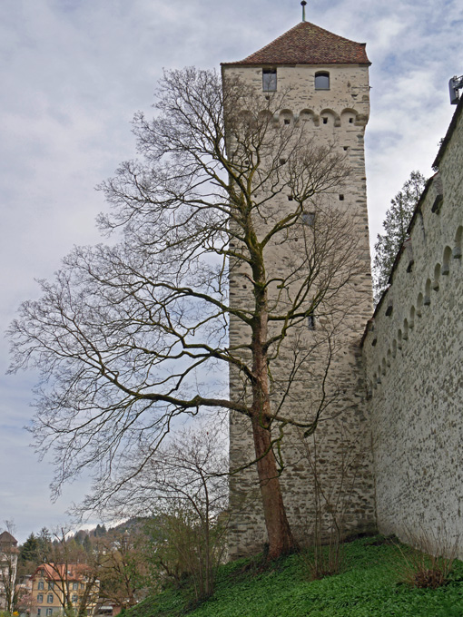 The D&auml;chli Tower