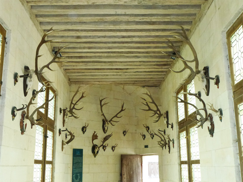 Ch&acirc;teau de Chambord, Hunting Trophy Room