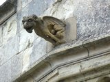 Gargoyle, Ch&acirc;teau d'Amboise