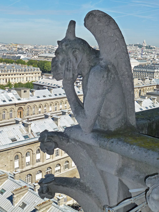 Cath&eacute;drale Notre-Dame Gargoyle