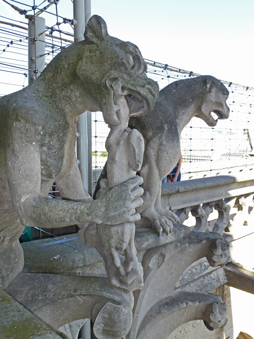 Cath&eacute;drale Notre-Dame Gargoyles