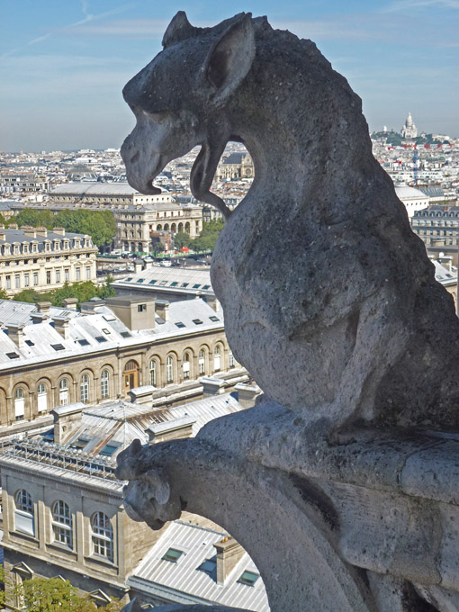 Cath&eacute;drale Notre-Dame Gargoyle