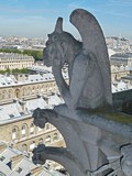 Cath&eacute;drale Notre-Dame Gargoyle