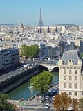 Eiffel Tower from the Top ofCath&eacute;drale Notre-Dame
