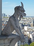 Cath&eacute;drale Notre-Dame Gargoyle