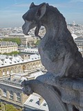 Cath&eacute;drale Notre-Dame Gargoyle